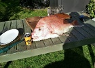 The makings of a great meal